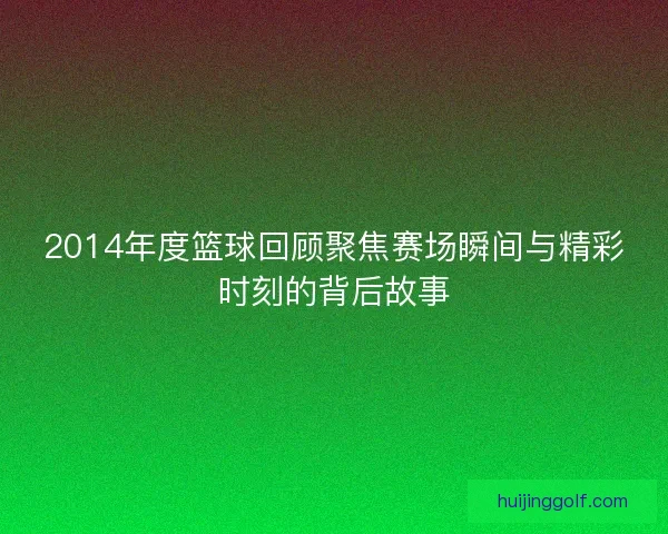 2014年度篮球回顾聚焦赛场瞬间与精彩时刻的背后故事