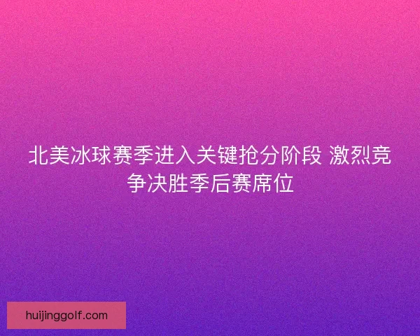 北美冰球赛季进入关键抢分阶段 激烈竞争决胜季后赛席位